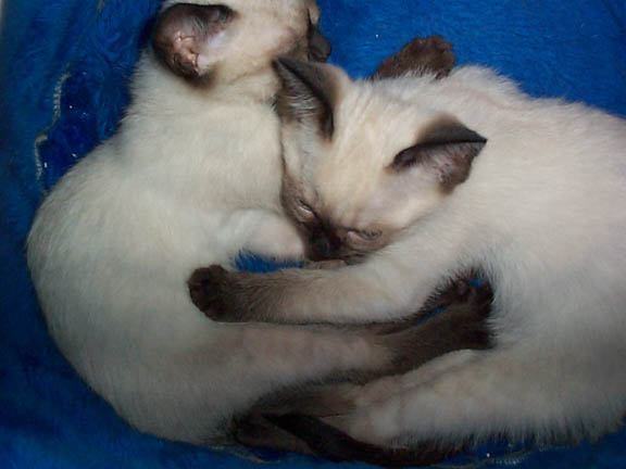 sleep1
