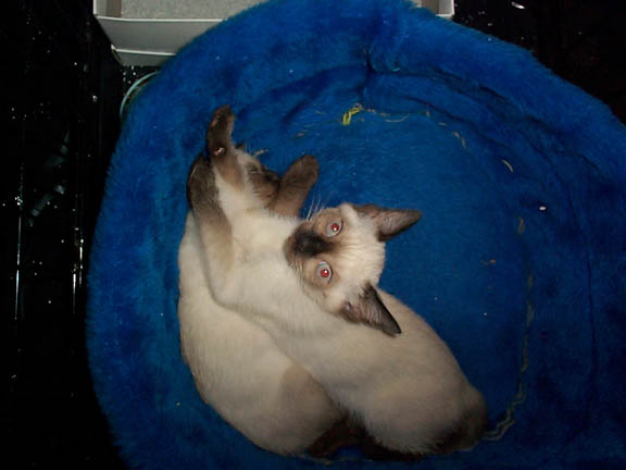 snuggle2