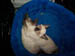 snuggle2